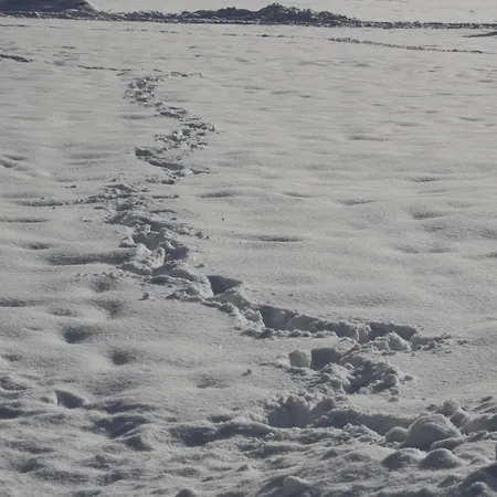 شقة Haus Pfeiffenberger أبين ايم بونغاو