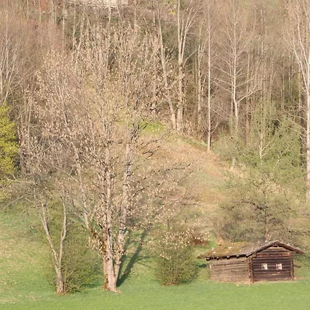 Haus Pfeiffenberger أبين ايم بونغاو