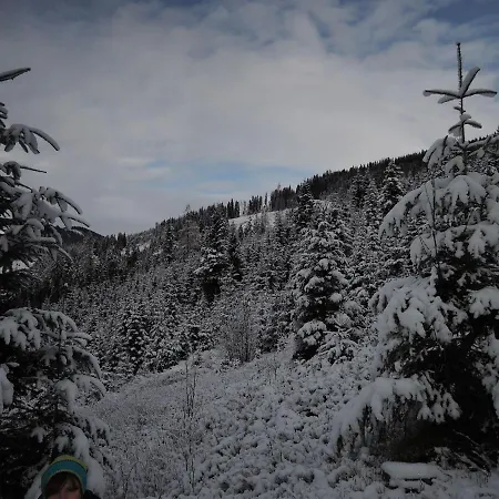 شقة Haus Pfeiffenberger *