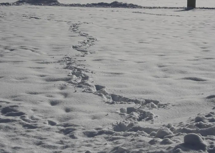Διαμέρισμα Haus Pfeiffenberger Eben Im Pongau