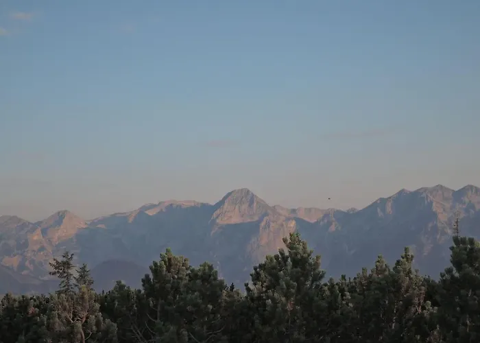 Haus Pfeiffenberger Διαμέρισμα Eben Im Pongau